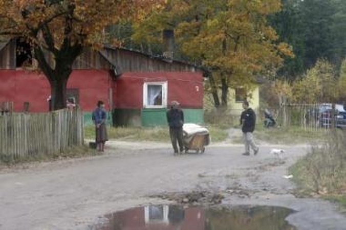 Išrankūs: atšalus orams Vilniaus valdžia siūlosi taboro gyventojams atvežti malkų, tačiau šiems tinka ne bet kokios, o tik sausos ir sukapotos.