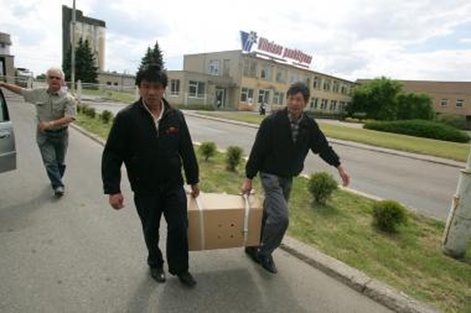 Įdarbintus užsieniečius gins įstatymai