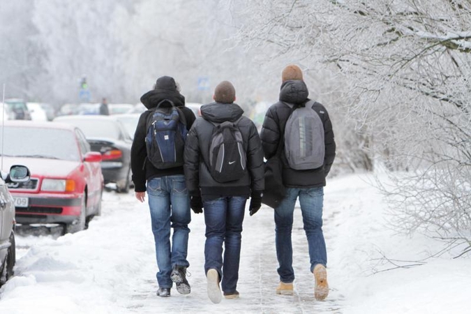 Klaipėdoje atgimsta mokyklų tarpusavio karai