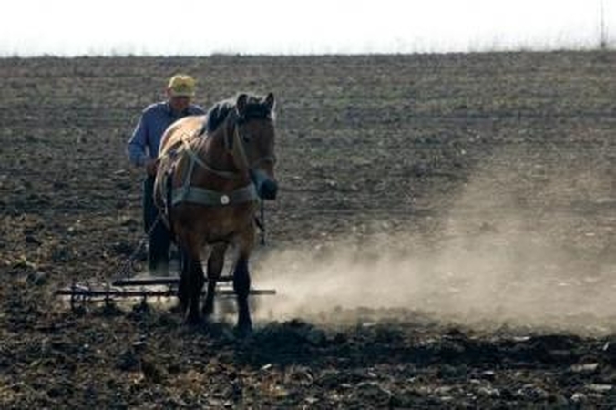 Žemės mokestis gali gerokai padidėti