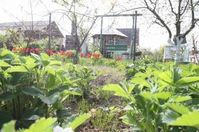 Sodininkams – viešieji darbai arba papildomas mokestis