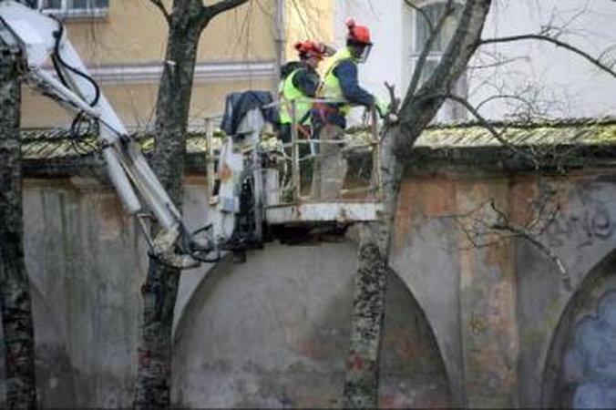 Apleido: praėjusį pavasarį Sereikiškių parke darbavosi medkirčiai. Tuo grandioziniai tvarkymo planai ir baigėsi.