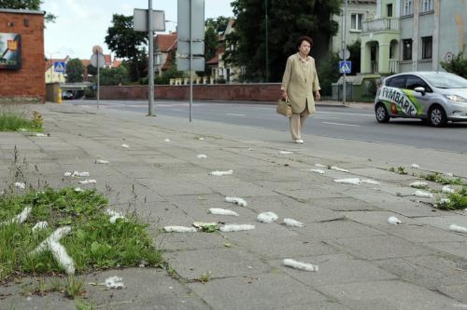 Miestas skęsta pūkuose