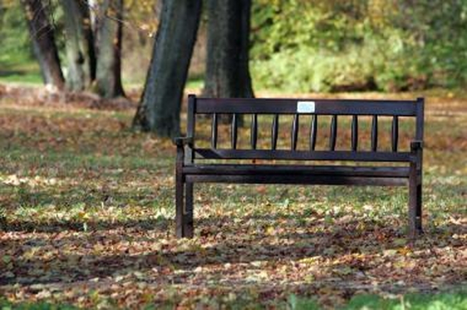 Reikšmės: suoleliai VU Botanikos sode simbolizuoja laimę, draugystę, pagarbą, kartais netektį.