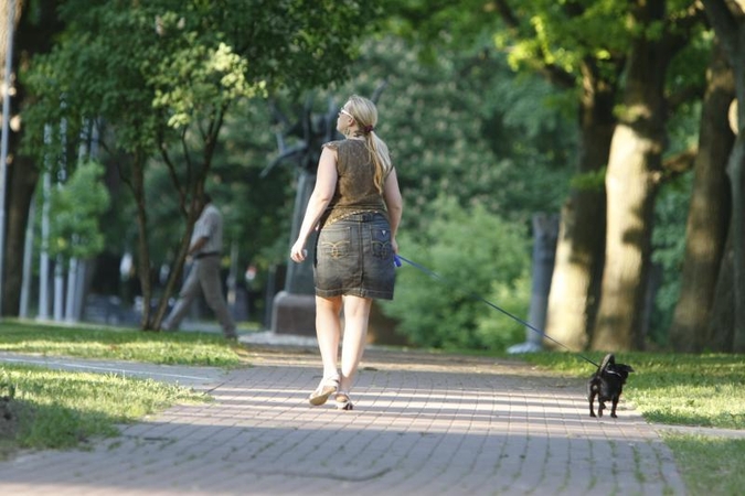 Klaipėdos mieste mažės tyliųjų zonų