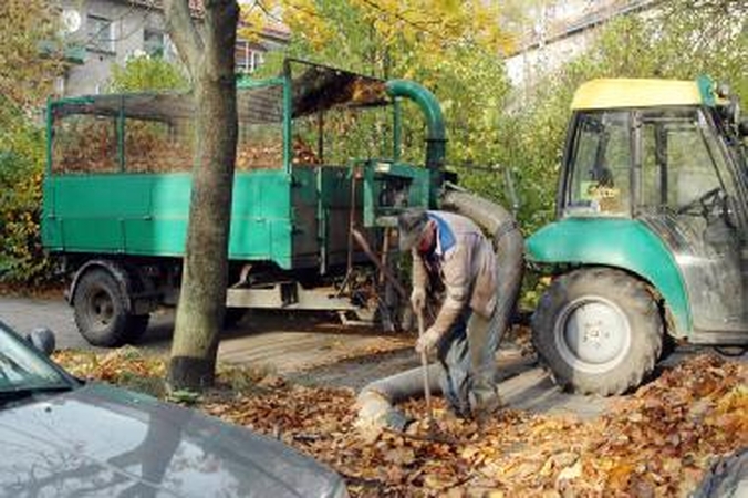Valytojai nespėja vežti lapų