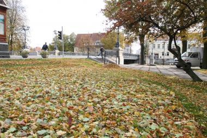 Darbai: ko nepadarė vasarą, tą namų valdų darbuotojai turės padaryti rudenį – daugiabučių namų kiemuose nušienauti žolę.