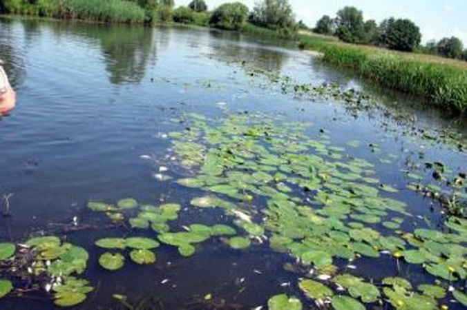 Upės nuodytojai – nesustabdomi