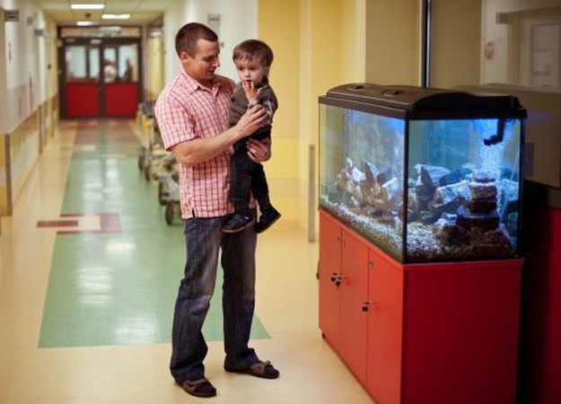 Padėka už sūnaus gyvybę – akvariumai ligoninėms