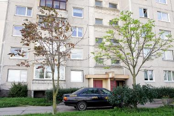 Rudenį medžiai ir gelsta, ir žydi