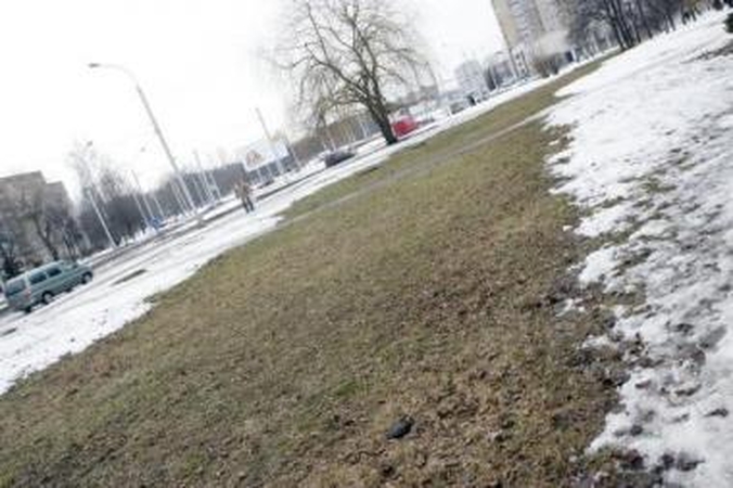 Šiluma: kai kur ruožuose pavasaris ateina anksčiau.