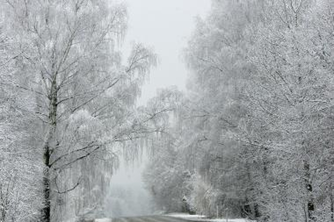 Orų prognozė: baltos senųjų metų palydėtuvės