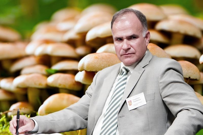 Už mokesčių mokėtojų pinigus - semtis grybavimo patirties