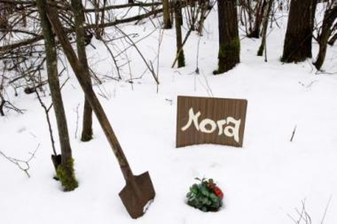 Chaosas: nelegalios kapinaitės Karoliniškėse neprižiūrimos, čia užklysta ir laukinių gyvūnų.