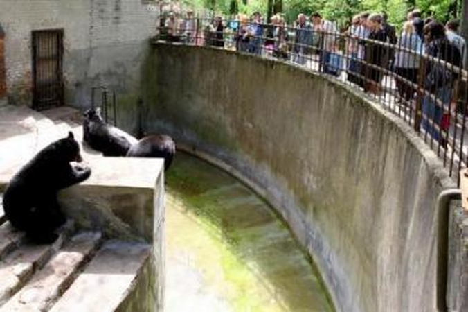 Atrakcija: kauniečių šeimos mėgsta laisvalaikį leisti Zoologijos sode.