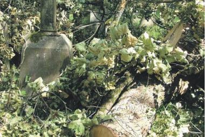 Pašiurpino: tai, ką pamatė Rasų kapinėse apsilankęs R.Kuryło, įvardijo kapinių naikinimu.