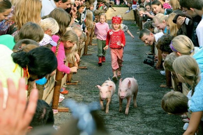 Viduramžių šventė Kaune: koncertai, kiaulių lenktynės ir riterių kovos