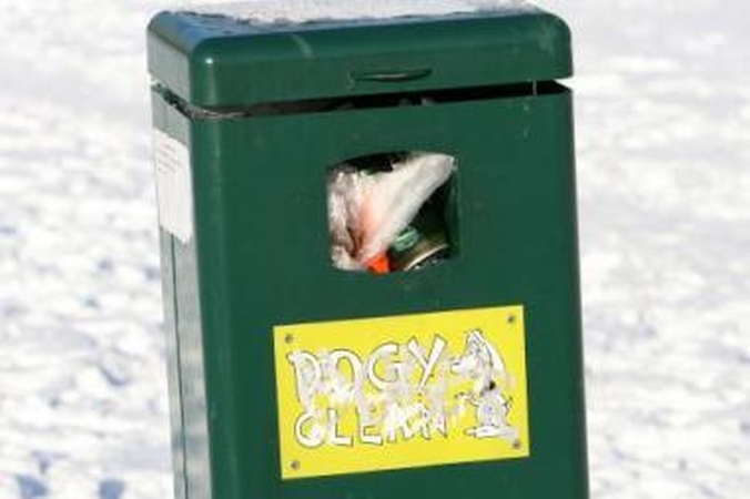 Ignoravimas: nors Skulptūrų parke įrengta speciali šunų vedžiojimo aikštelė, augintinių šeimininkai ja naudojasi ne visada.