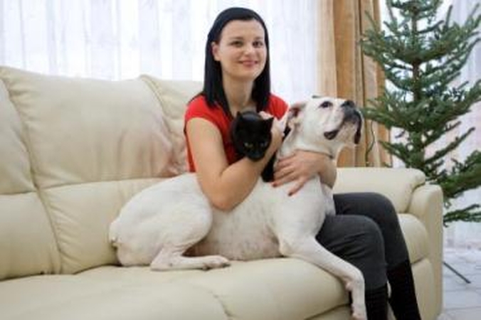 Dizainerės batus vagia bokserė Milka