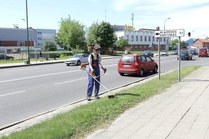 Žolė greitesnė už šienpjovius