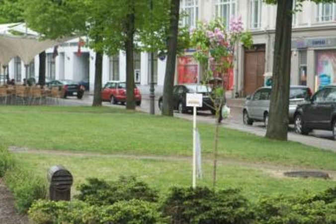 Vokiečių gatvė – verslo kapinynas