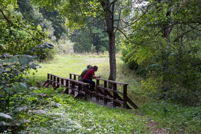 Žydų gelbėtojų atminimui - alėja