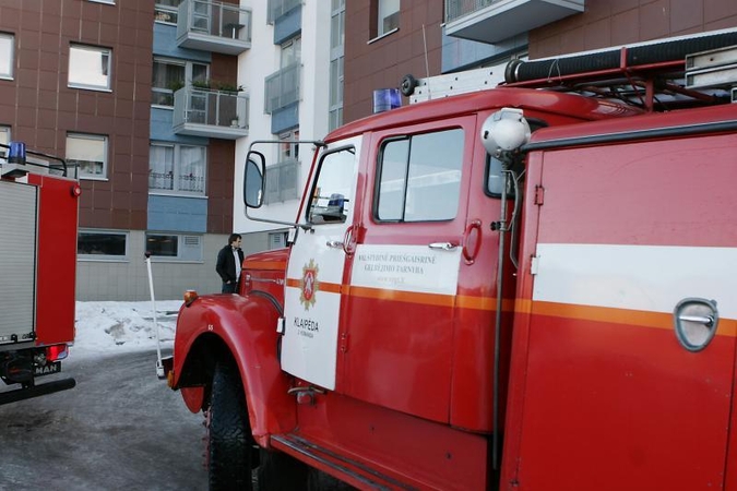 Degančiame bute – aštuonmetis su šuniuku