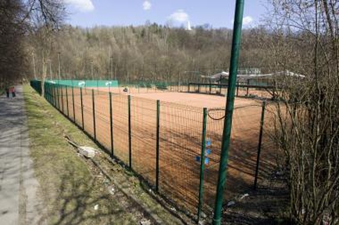 Pilių direkcija nori atsiimti Sereikiškes