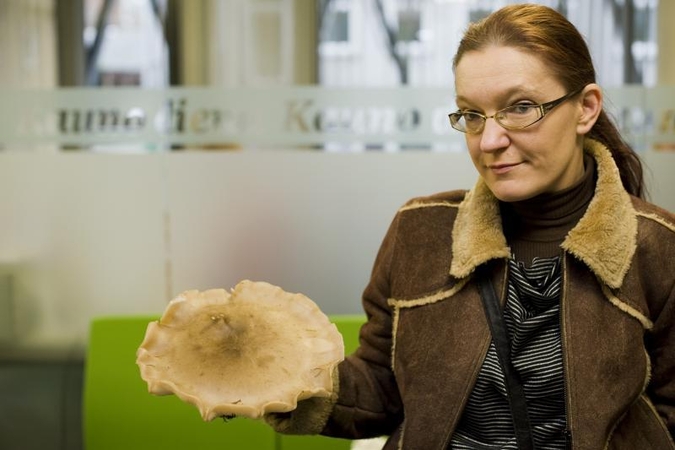 Grybo mįslė: ką kaunietė rado miške?