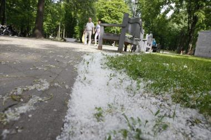 Prikrito: Skulptūrų parką padengė minkštas baltų pūkų kilimas.