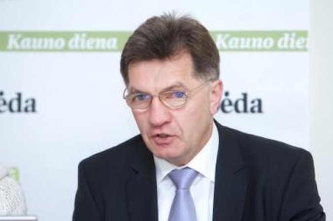 Užmojai: I.Degutienė norėtų, kad Seimas susigrąžintų ne tik pasitikėjimą, bet ir galias.