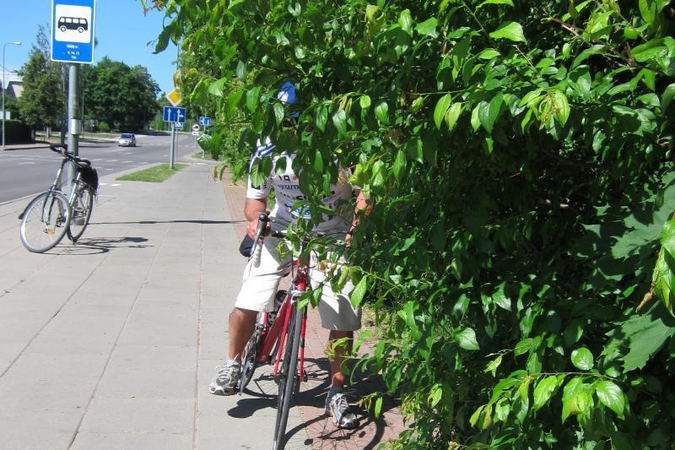 Kelionė dviračiu po Klaipėdą – sudėtinga (foto)