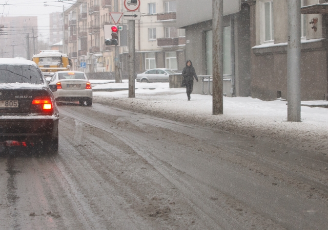 Mokslininkas: žiemą lietuviai savo kelius barsto nuodais