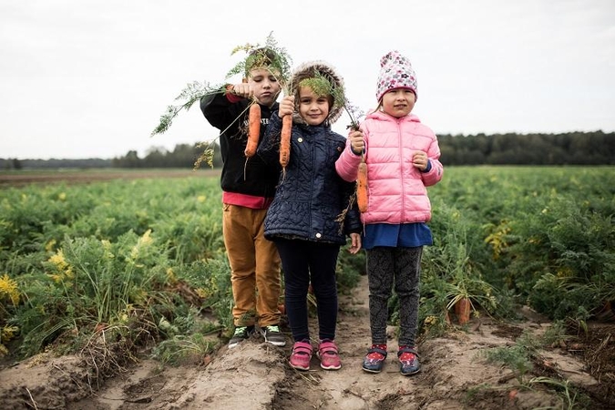 Šį pavasarį vaikų darželiuose atsiras šiltnamiai