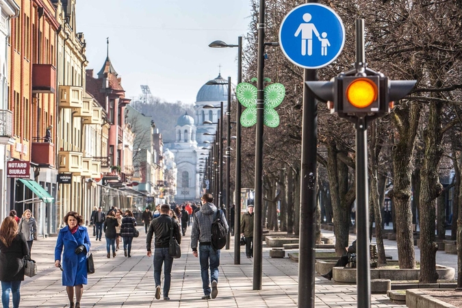 Mieste nutūpė margaspalviai drugeliai