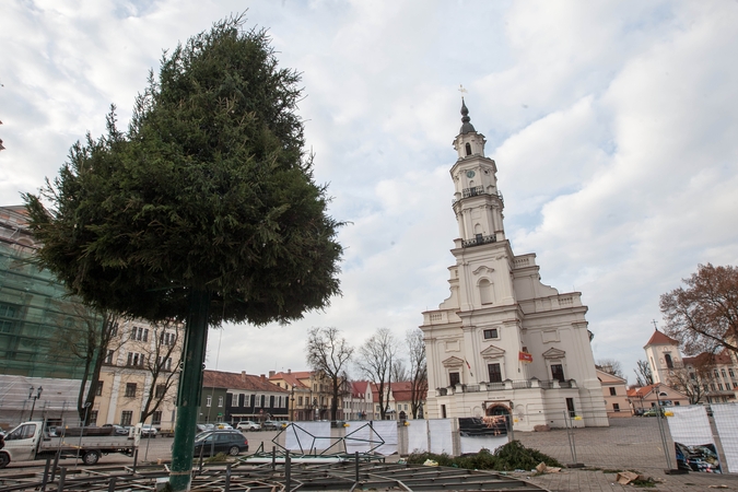 Puošiant Rotušės aikštę prireiks ir kauniečių pagalbos