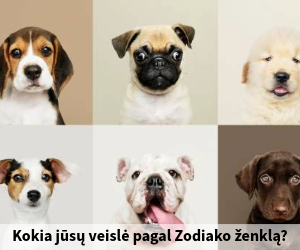 Veislė pagal zodiaką